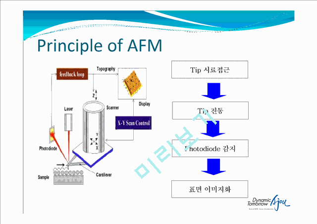 Surface Characterization with AFM   (4 )